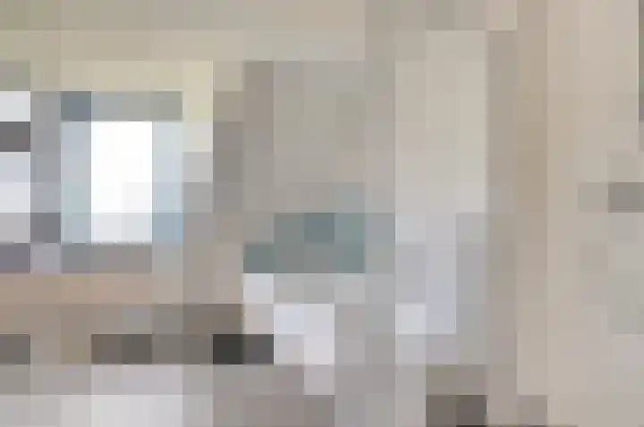 de Spaier 16 Zoutelande thumbnail 20
