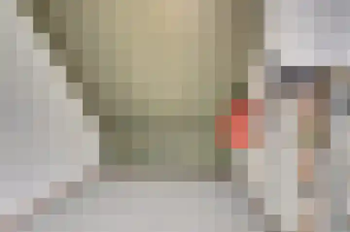 de Spaier 16 Zoutelande thumbnail 24