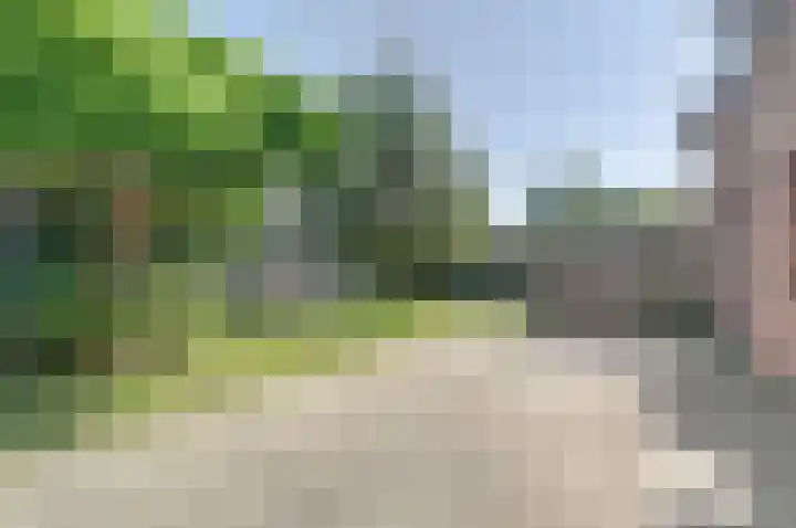 de Spaier 16 Zoutelande thumbnail 4