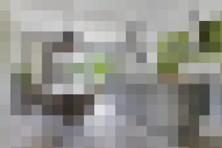 De Spanten 1 Zuidlaren thumbnail 10
