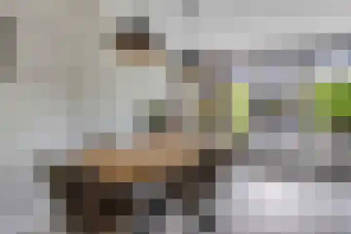 De Spanten 1 Zuidlaren thumbnail 11