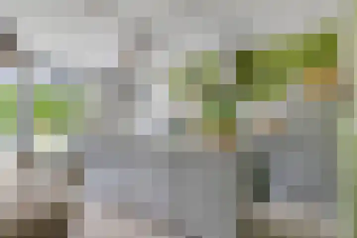 De Spanten 1 Zuidlaren thumbnail 12