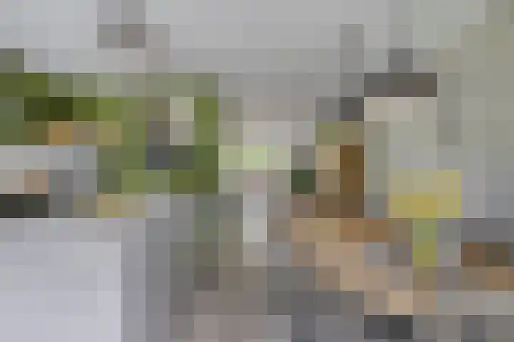 De Spanten 1 Zuidlaren thumbnail 13