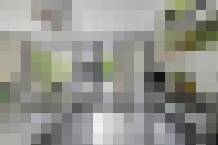 De Spanten 1 Zuidlaren thumbnail 17