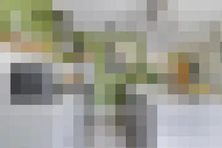 De Spanten 1 Zuidlaren thumbnail 18
