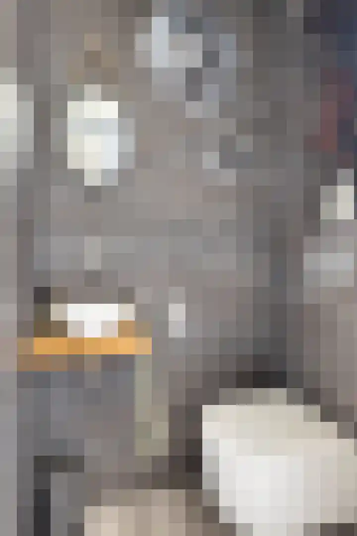 De Spanten 1 Zuidlaren thumbnail 20