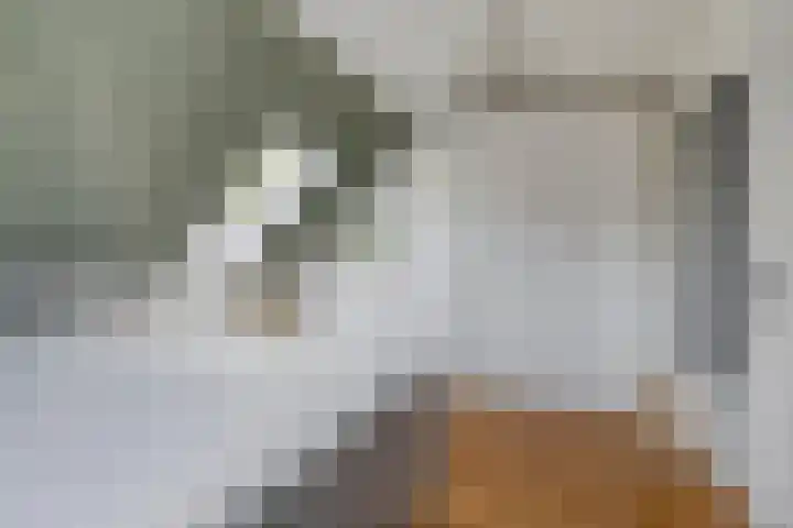 De Spanten 1 Zuidlaren thumbnail 25