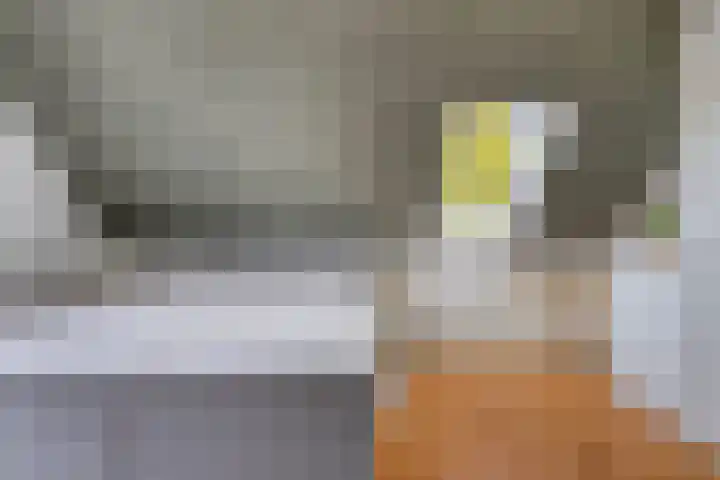 De Spanten 1 Zuidlaren thumbnail 26
