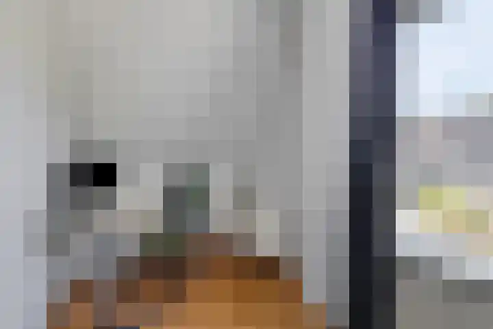 De Spanten 1 Zuidlaren thumbnail 32