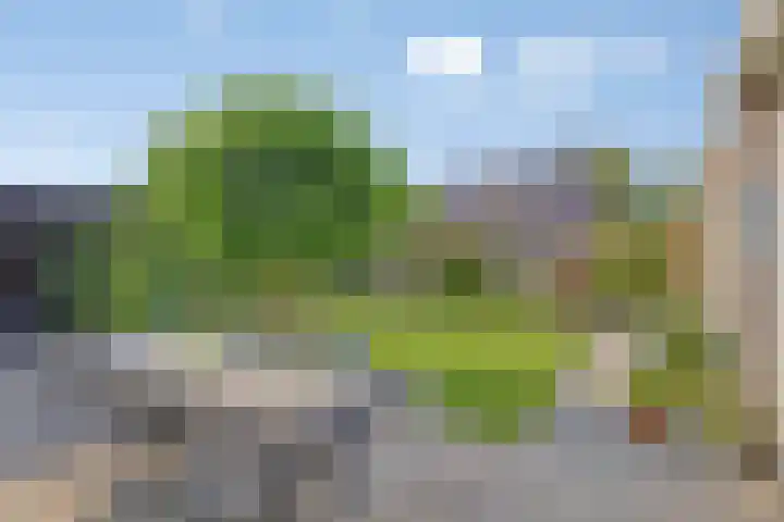 De Spanten 1 Zuidlaren thumbnail 34