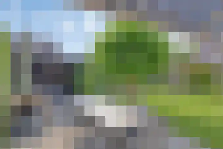 De Spanten 1 Zuidlaren thumbnail 35
