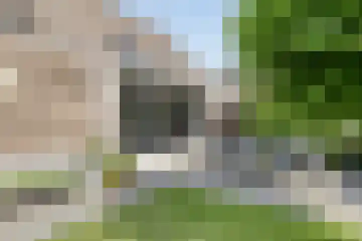 De Spanten 1 Zuidlaren thumbnail 36