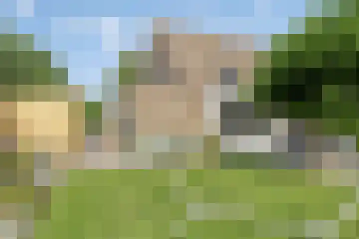 De Spanten 1 Zuidlaren thumbnail 39