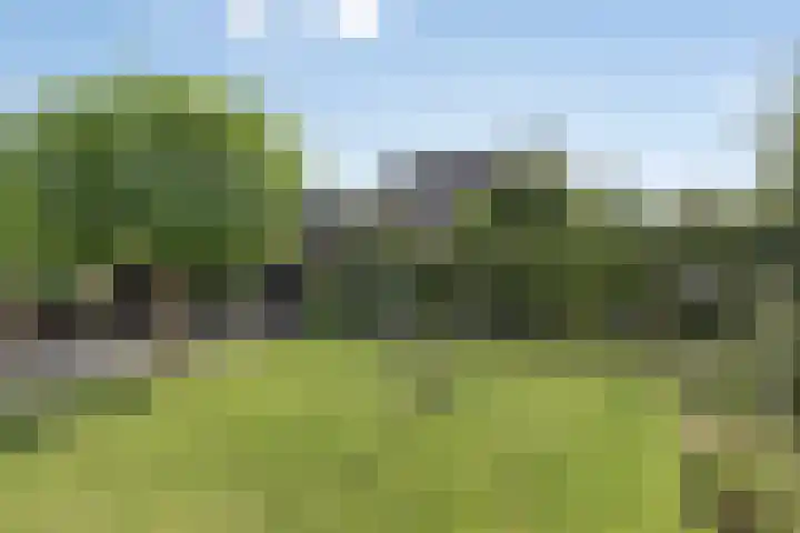 De Spanten 1 Zuidlaren thumbnail 40