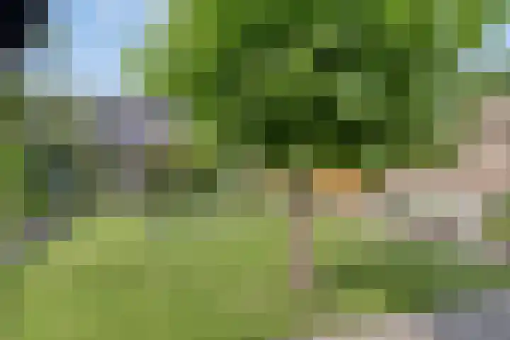 De Spanten 1 Zuidlaren thumbnail 42
