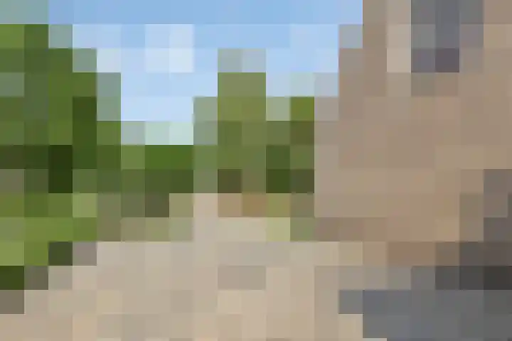 De Spanten 1 Zuidlaren thumbnail 5