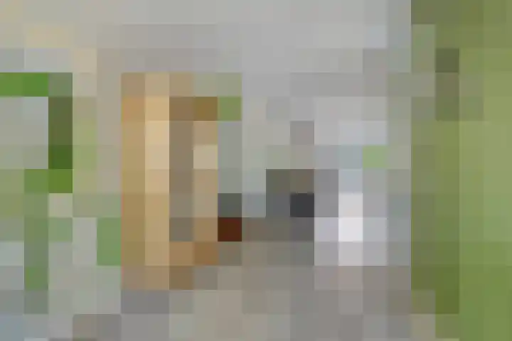 De Spanten 1 Zuidlaren thumbnail 9