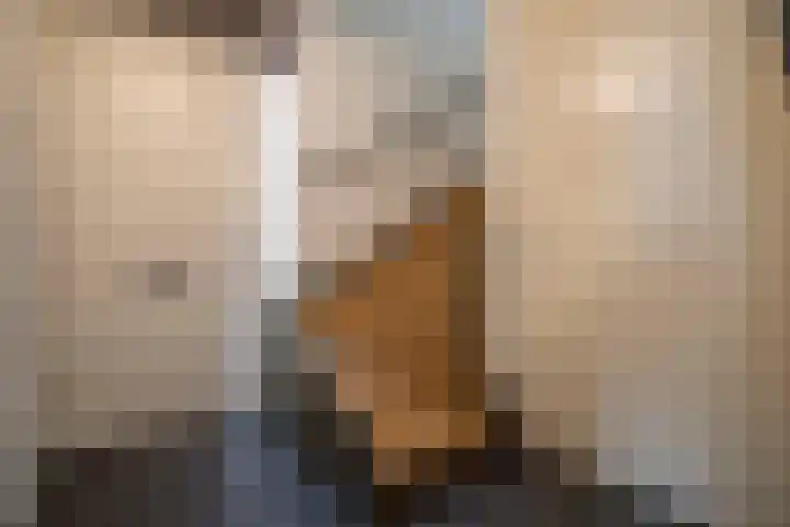 De Spar 28 Budel thumbnail 13
