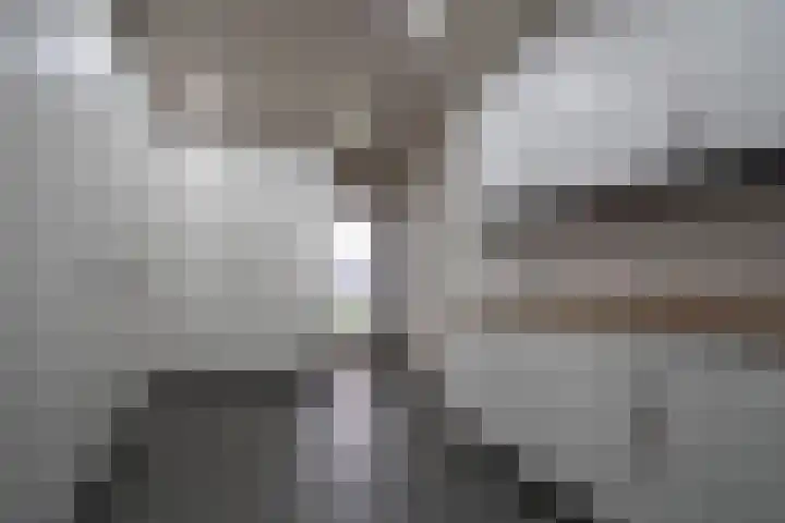 De Spar 28 Budel thumbnail 24