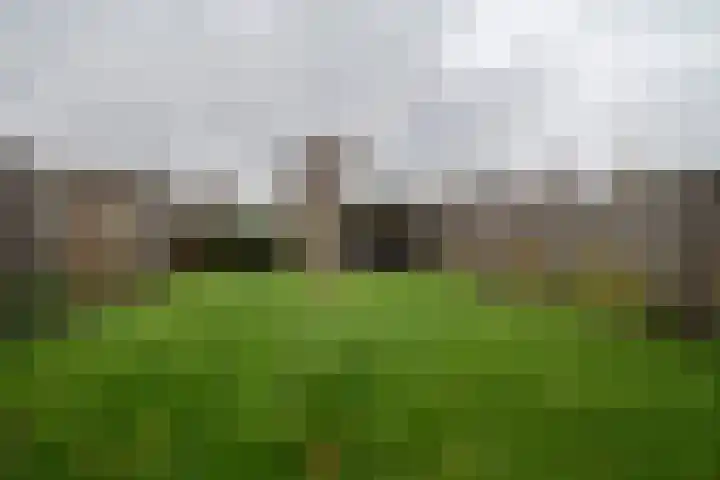 De Spar 28 Budel thumbnail 28