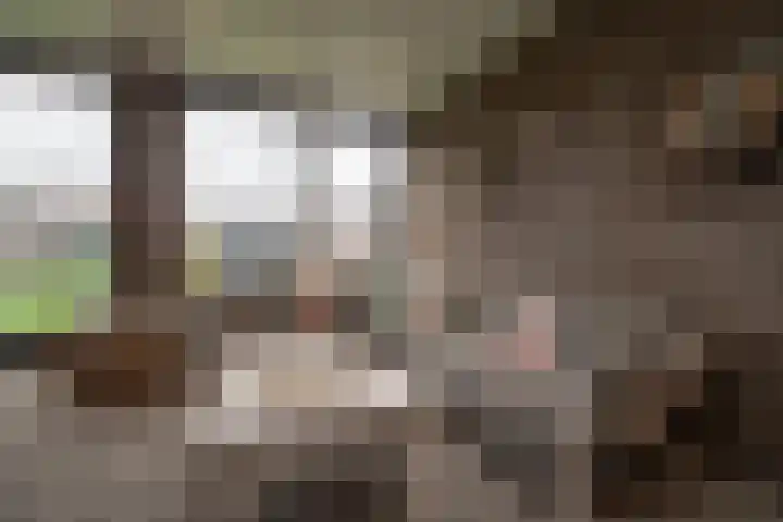 De Spar 28 Budel thumbnail 31