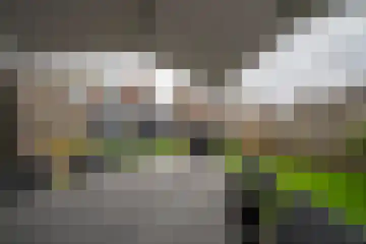 De Spar 28 Budel thumbnail 4