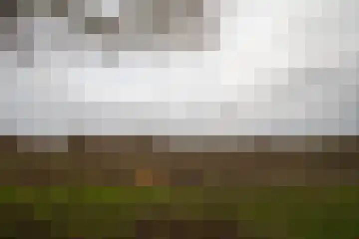 De Spar 28 Budel thumbnail 8