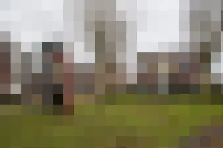 De Spar 28 Budel thumbnail 9