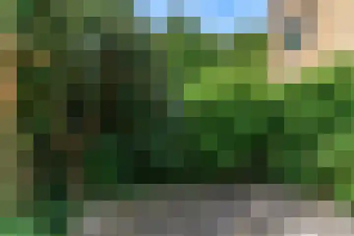 De Sparren 181 Bussum thumbnail 15