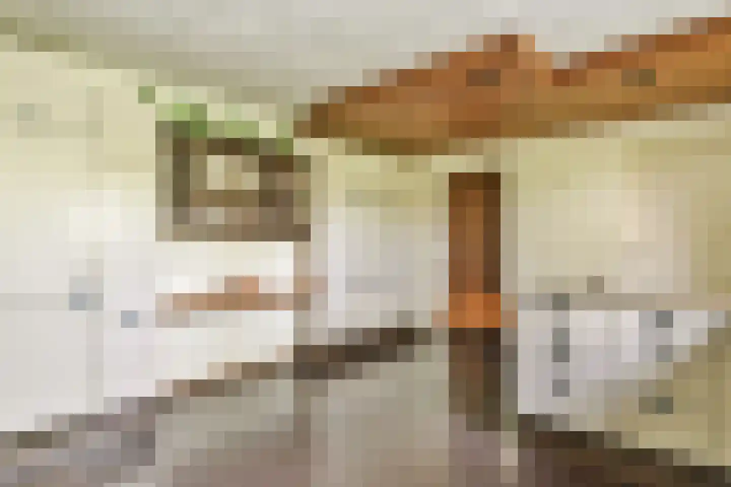 De Sparren 3 Laren thumbnail 18
