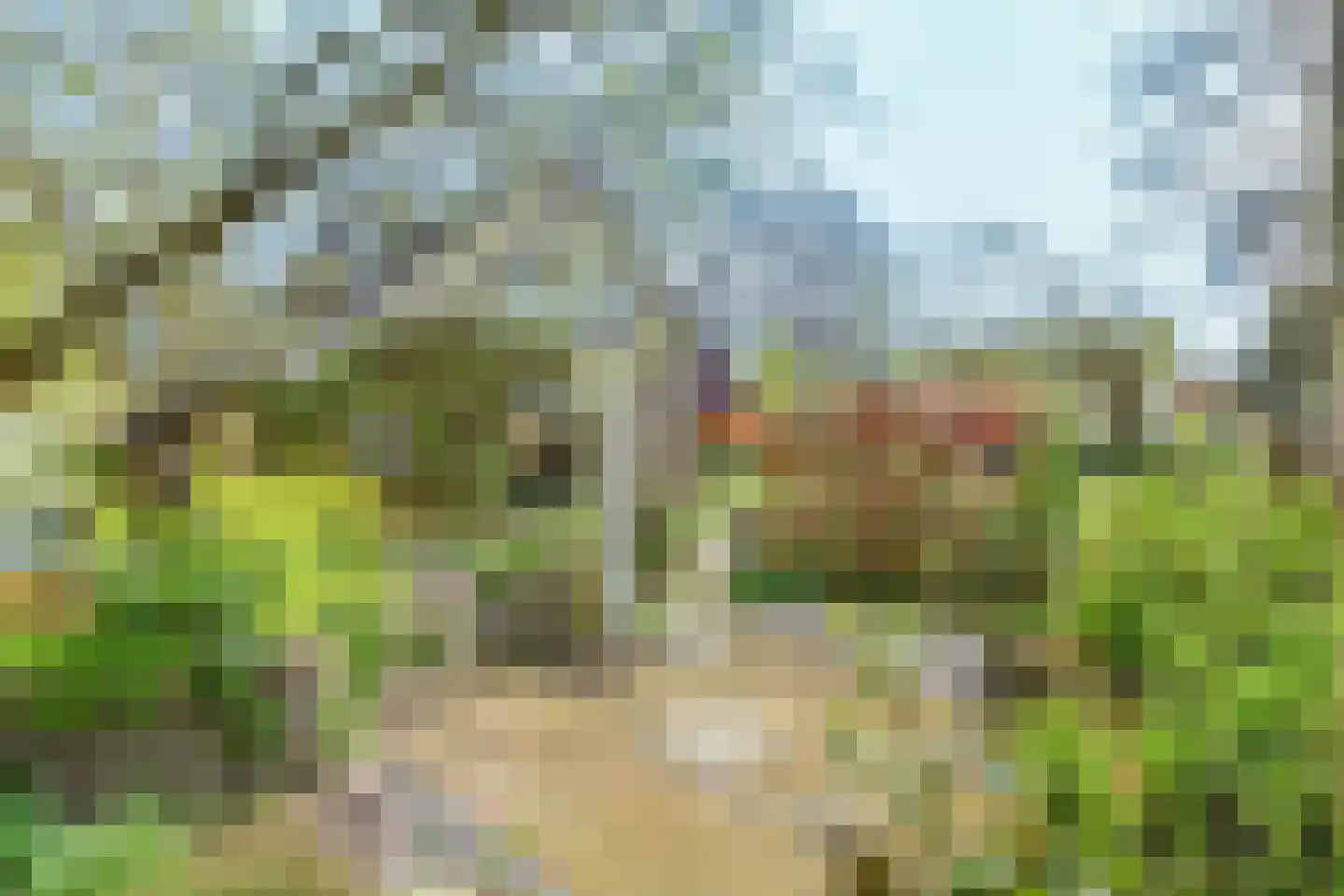 De Sparren 3 Laren thumbnail 21