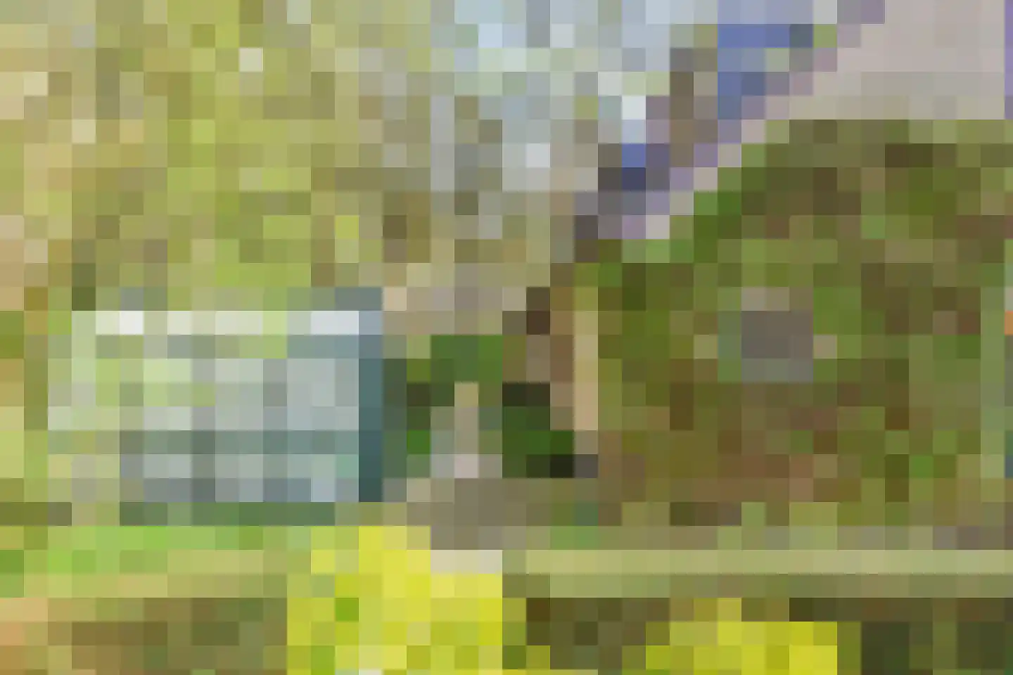 De Sparren 3 Laren thumbnail 22