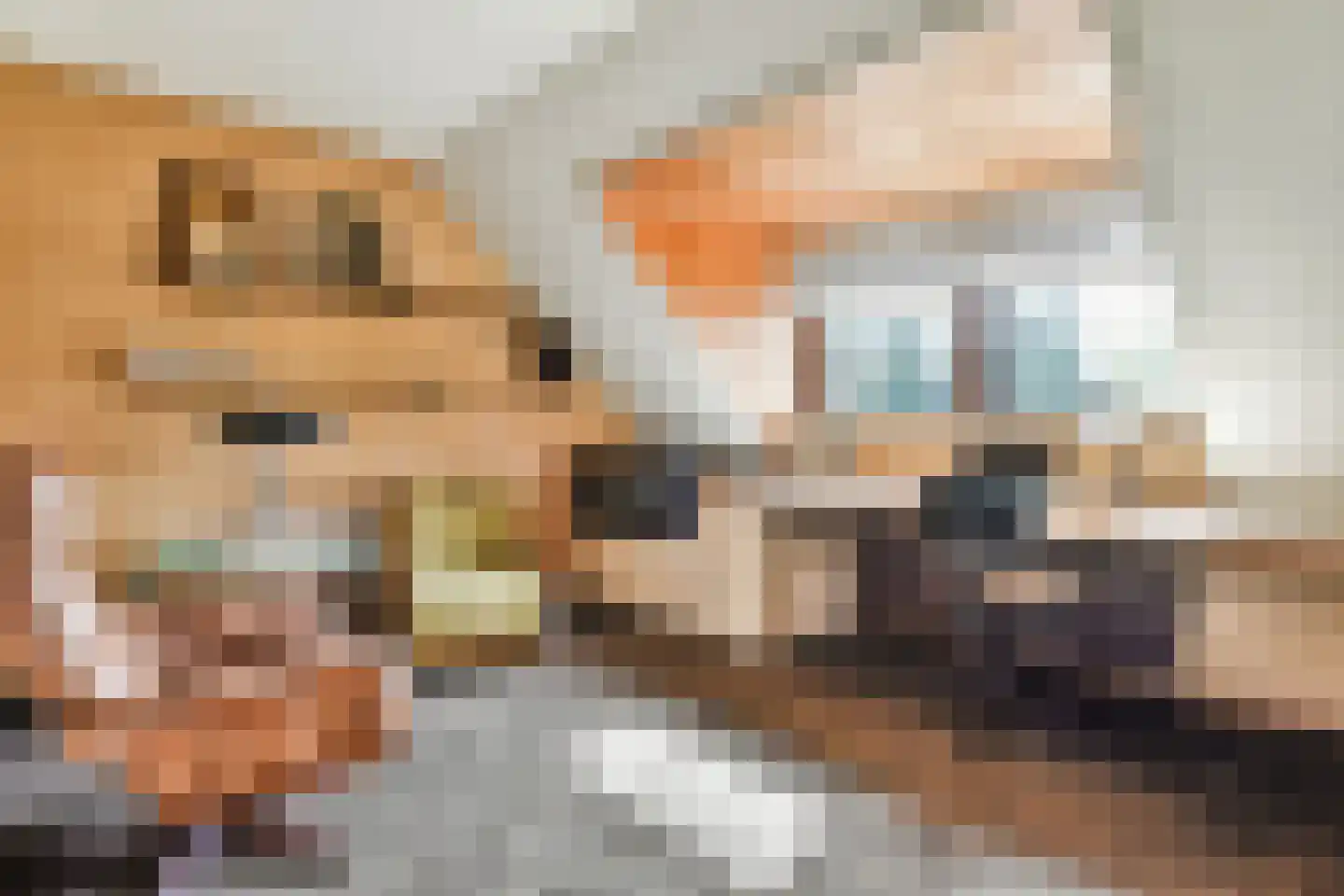 De Sparren 3 Laren thumbnail 28