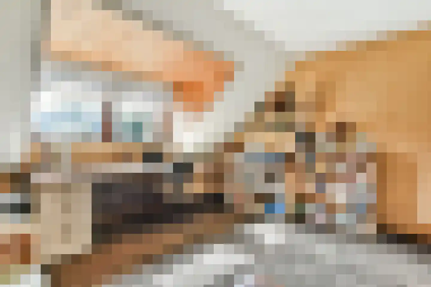 De Sparren 3 Laren thumbnail 29