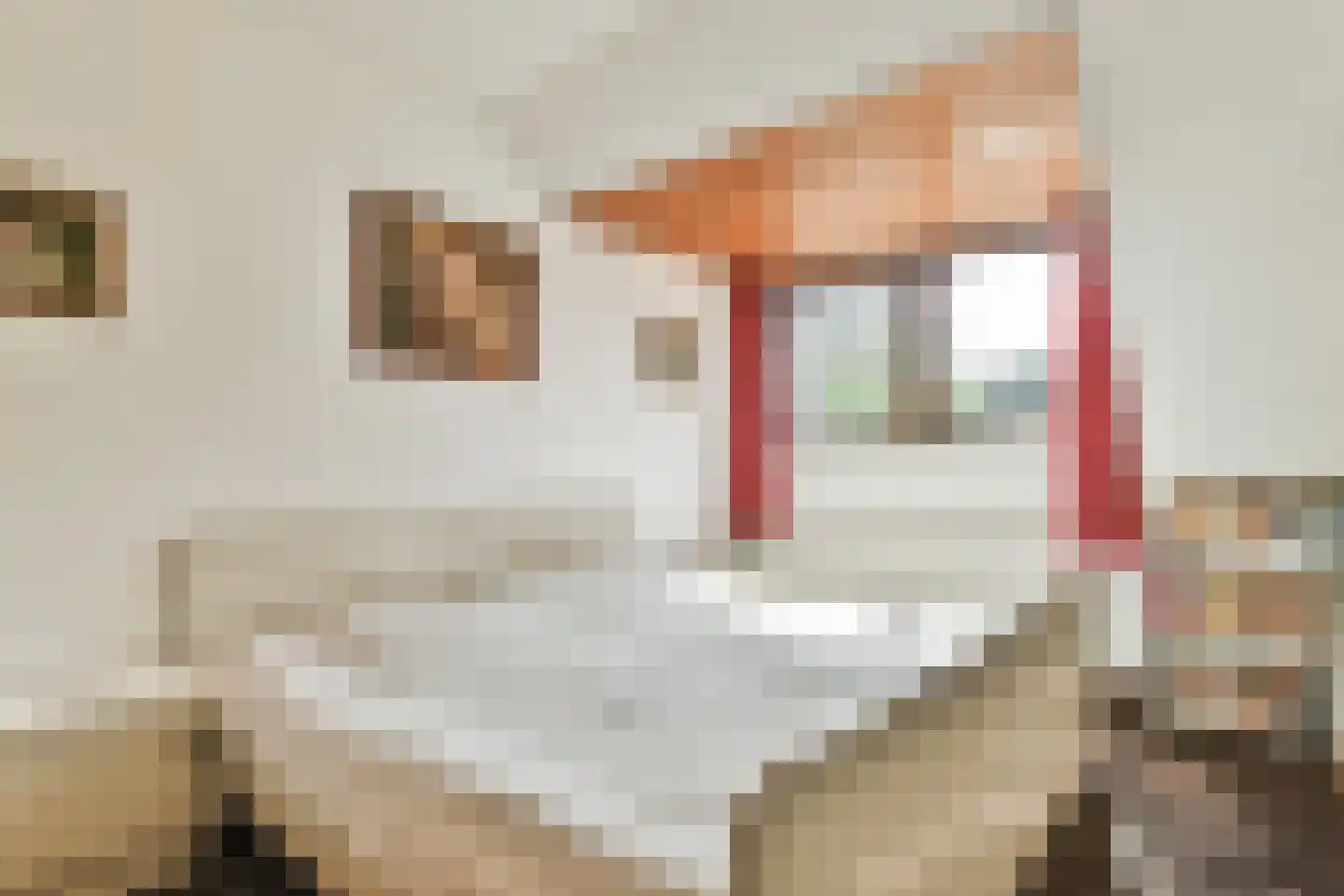 De Sparren 3 Laren thumbnail 31