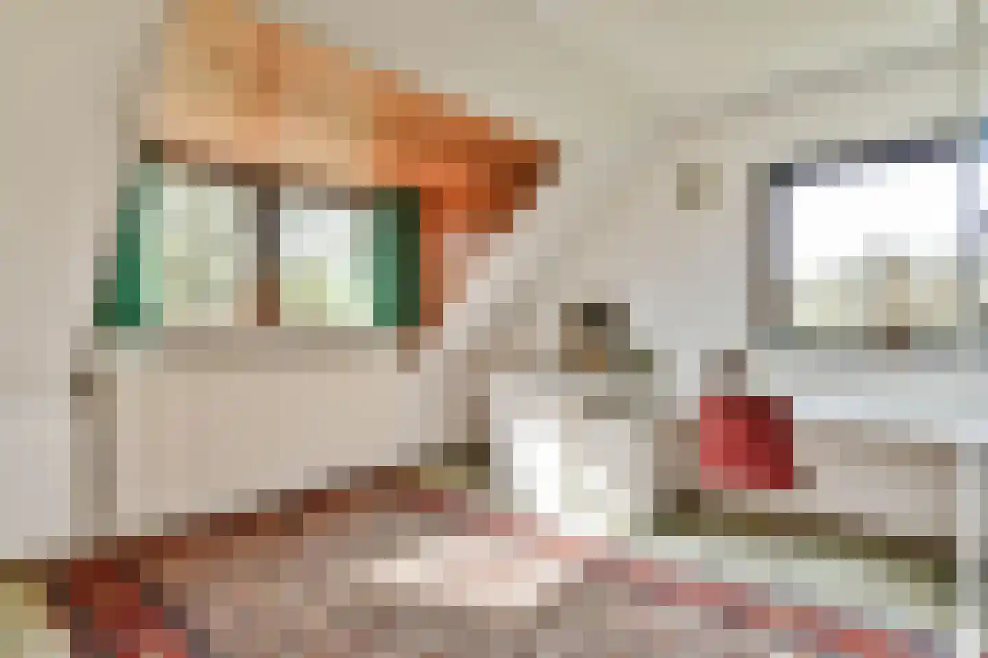 De Sparren 3 Laren thumbnail 33