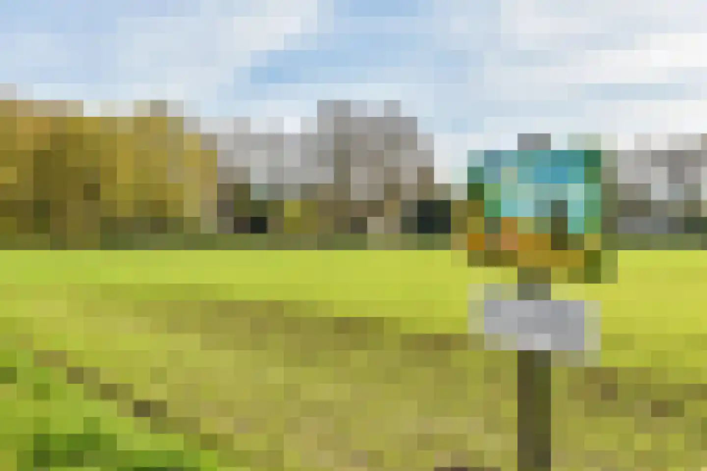De Sparren 3 Laren thumbnail 4