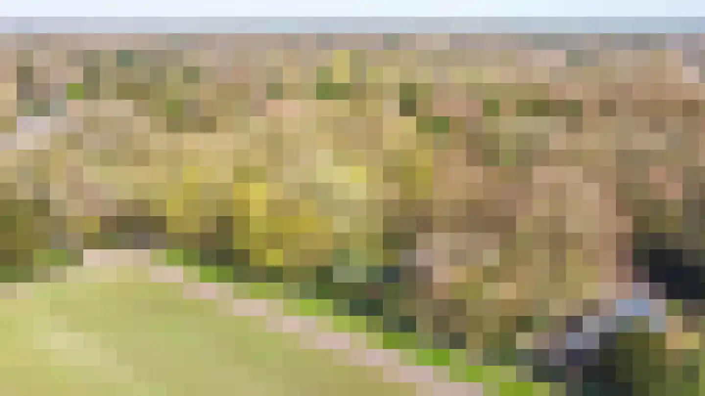 De Sparren 3 Laren thumbnail 40