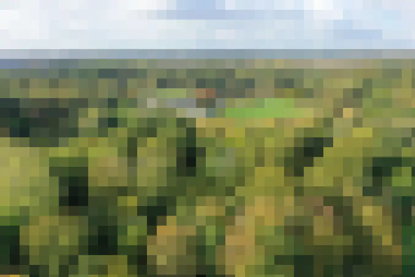 De Specerij 33 Almere thumbnail 28