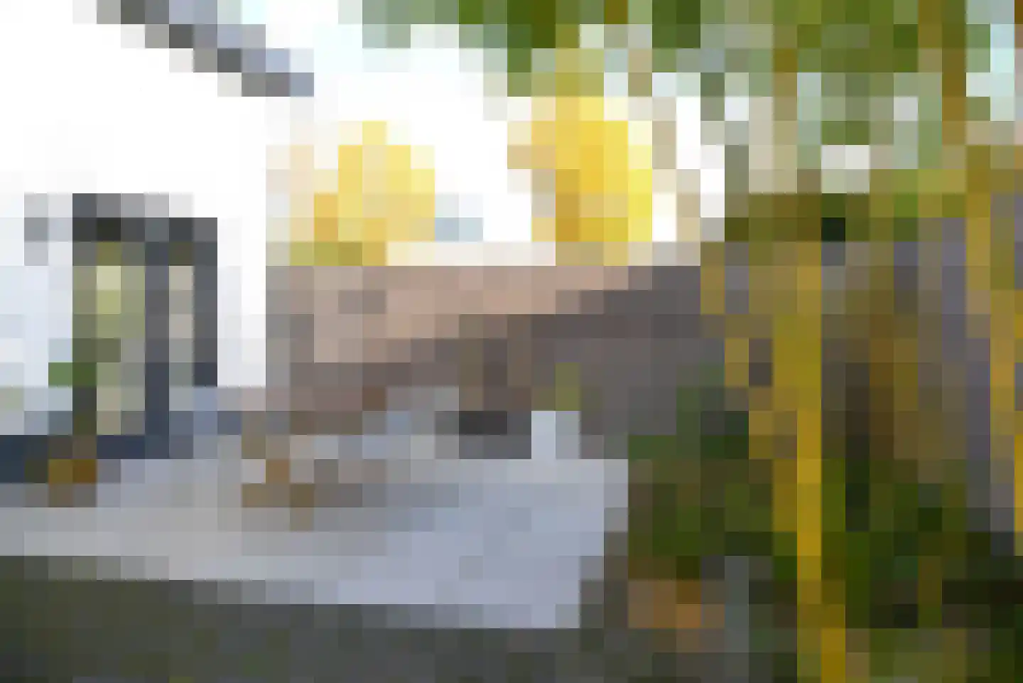 De Specerij 33 Almere thumbnail 31