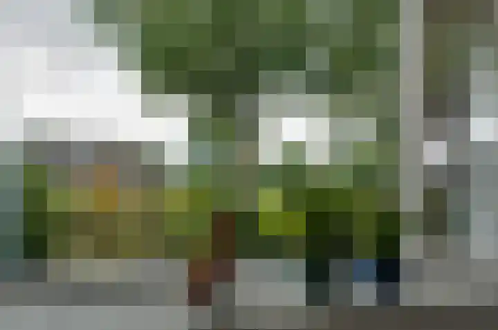 De Specht 72 Surhuisterveen thumbnail 10