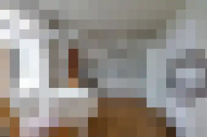 De Specht 72 Surhuisterveen thumbnail 14