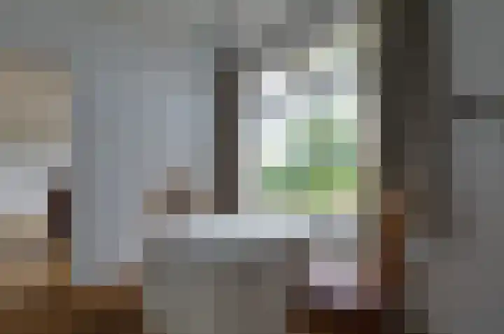 De Specht 72 Surhuisterveen thumbnail 17