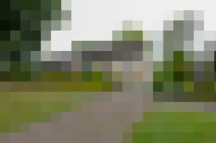 De Specht 72 Surhuisterveen thumbnail 33