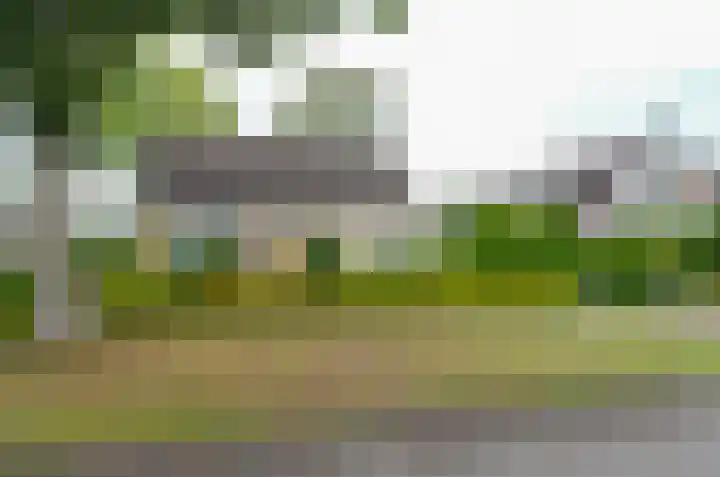 De Specht 72 Surhuisterveen thumbnail 34