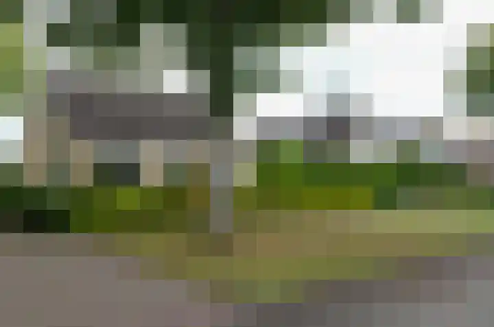 De Specht 72 Surhuisterveen thumbnail 35