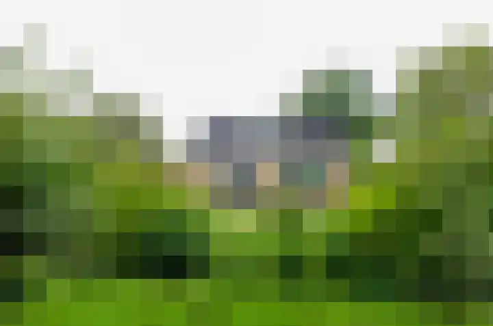 De Specht 72 Surhuisterveen thumbnail 36