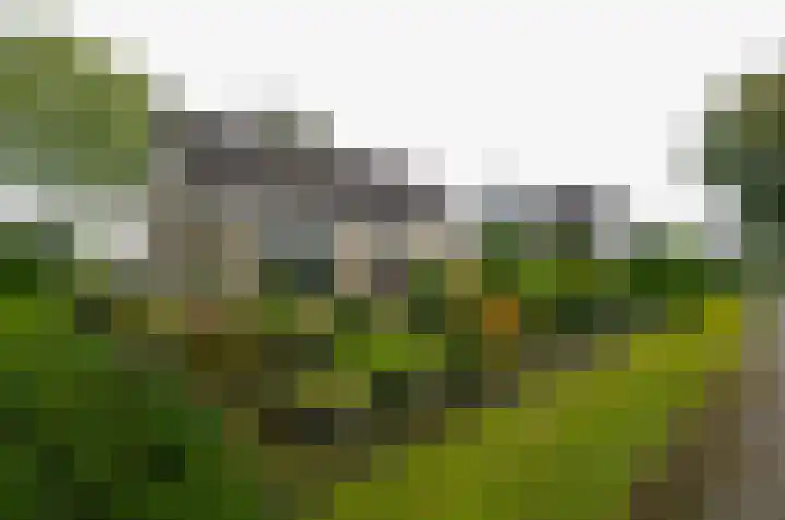 De Specht 72 Surhuisterveen thumbnail 37