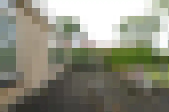 De Specht 72 Surhuisterveen thumbnail 38