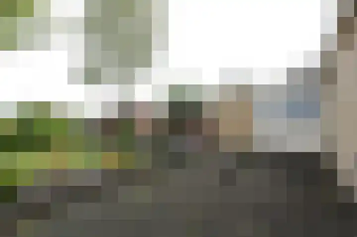 De Specht 72 Surhuisterveen thumbnail 39